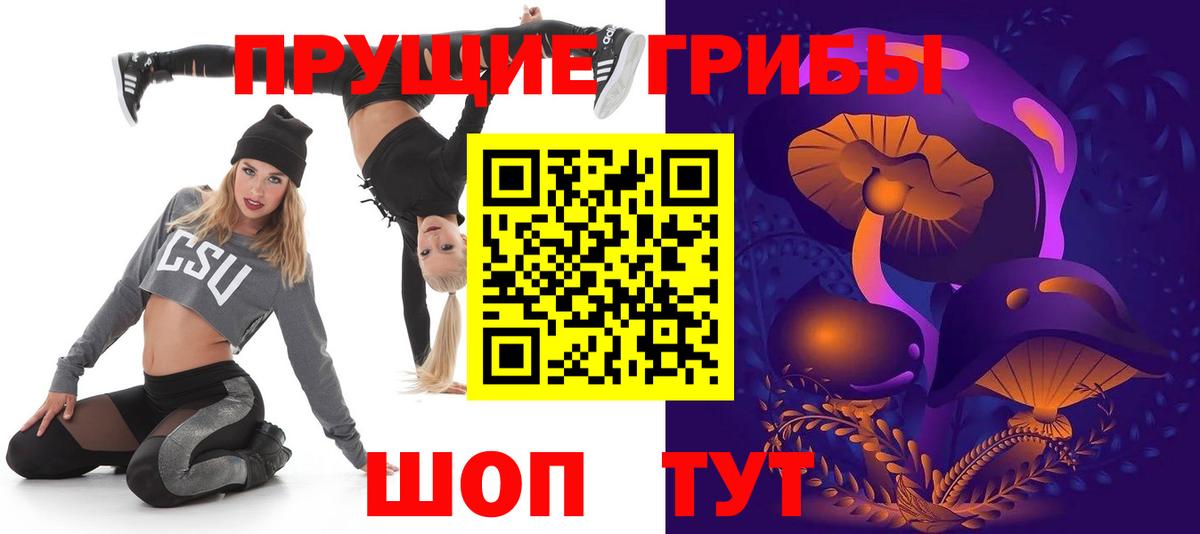 Псилоцибиновые грибы Psilocybine cubensis Менделеевск