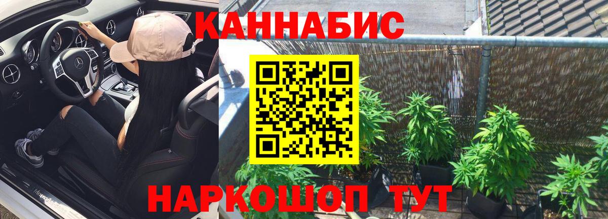 Бошки марихуана MAZAR Менделеевск